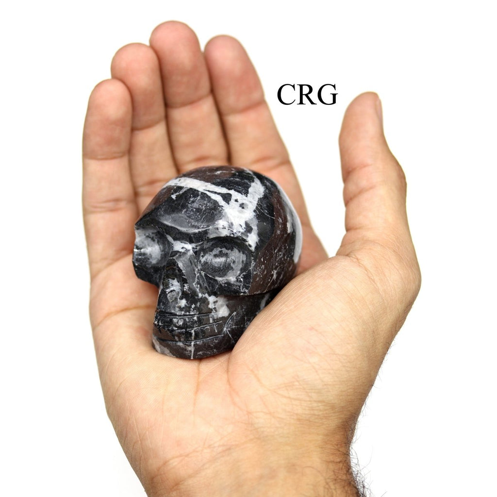 Zebra Jasper Skull (1 Piece) Size 45 to 55 mm Polished Crystal Gemstone Carving